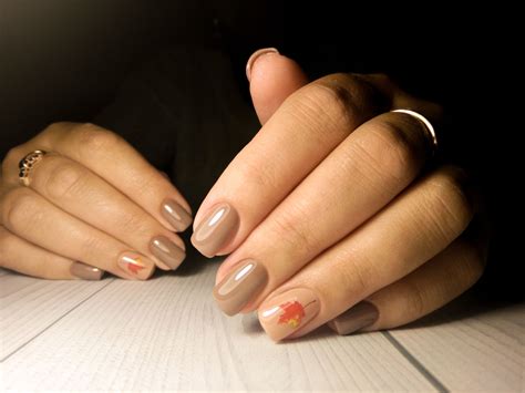 32 Cute Thanksgiving Nails 2023: Design Ideas and Colors