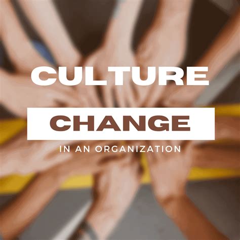 What is Culture Change in an Organization? and How to Implement it?