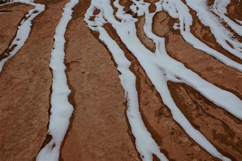 Petroglyph Canyon Zion: Hike To The Secret Petroglyphs Of Zion Red ...
