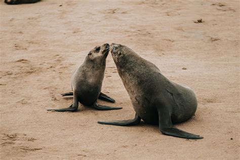 Anime+Girl+Feet+Pfp Photos, Download The BEST Free Anime+Girl+Feet+Pfp ...