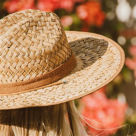 Surviving the Summer Heat – Eds Plant World
