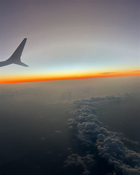 Chloe Collins | 🌹 | Instagram