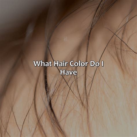 What Color Are Bones - colorscombo.com