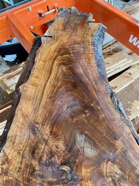 Walnut Wood Slab 46" x 19" x 1 3/4" - Frison-Logue Hardwoods