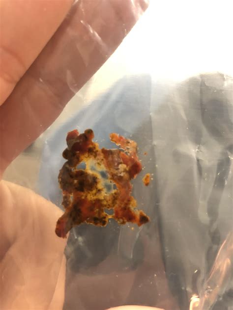 I’ve recently feed my beardie strawberries and red bell pepper and I ...