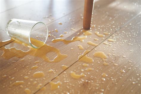 Ultimate Guide to the Best Vinyl Flooring for Your Space & Lifestyle