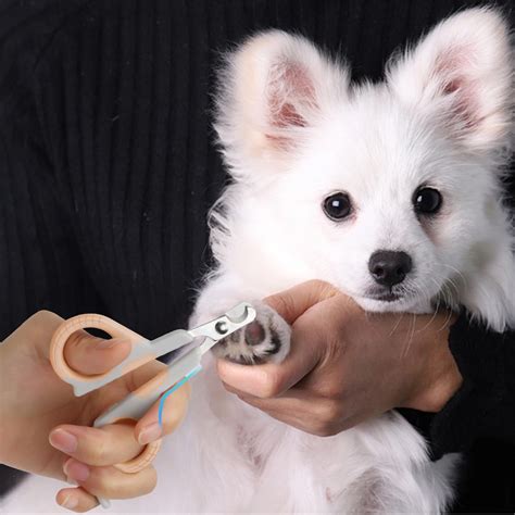 Metal Pet Nail Clippers for Dogs and Cats | Fishtail Design | Curved ...