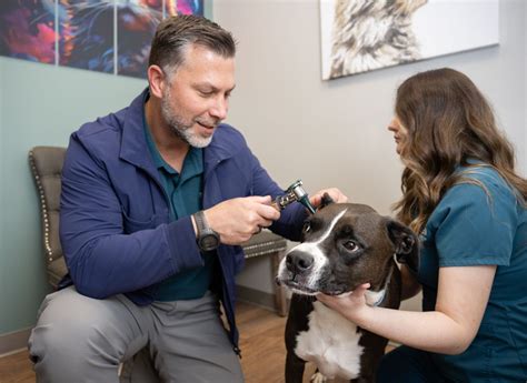 Sugar Creek Animal Hospital