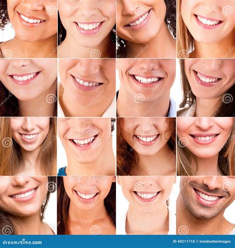 Types Of Dozens at Michael Oglesby blog