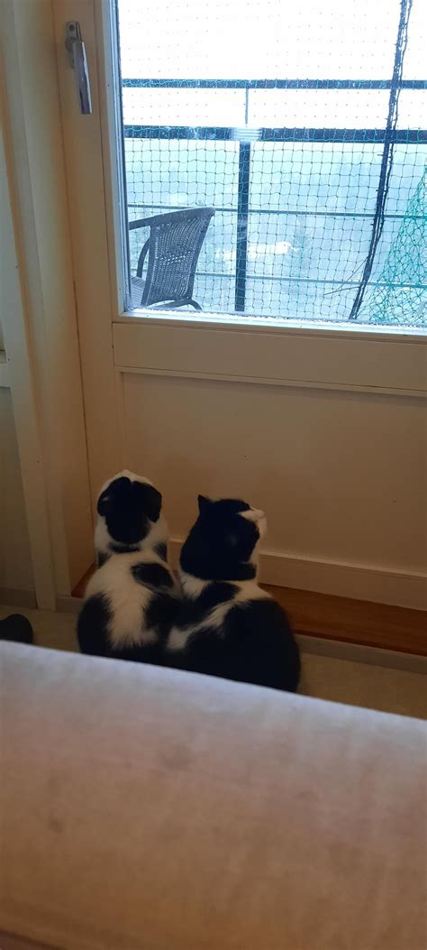 Sister Caught Mastubating