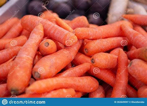 Fresh Raw Carrot Sold on Outdoor Market. Natural Source of Betacaratin ...