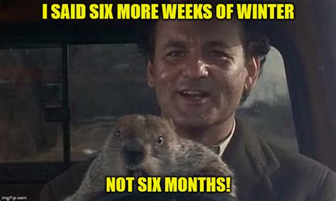 Image tagged in groundhog - Imgflip