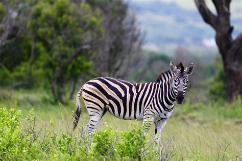 Girls+Jacking+Off+Boys Photos, Download The BEST Free Girls+Jacking+Off ...