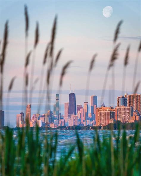 1724 best Chicago IL images on Pholder | City Porn, Amateur Room Porn ...