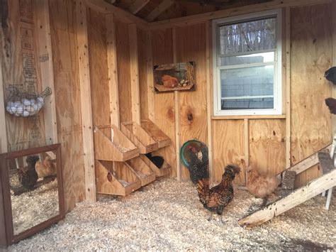 mychickencoops.net | Diy chicken coop, Chickens backyard, Chicken coop ...