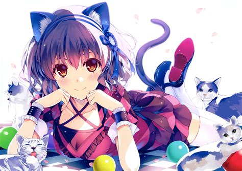 [200+] Anime Cat Wallpapers | Wallpapers.com