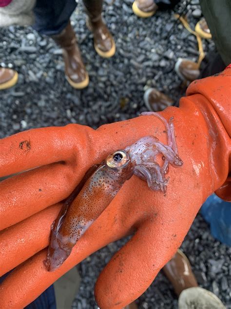 Alaska Tides to Tongass Science and Arts Academy | Port Alexander School