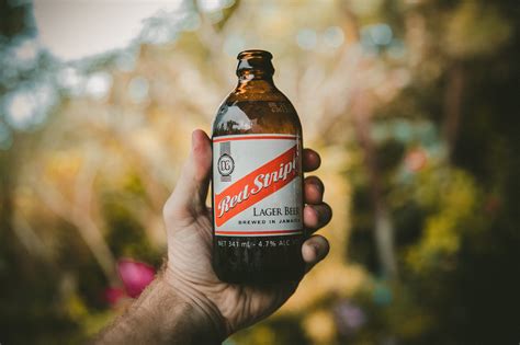 Free Images : drink, alcohol, Red stripe, alcoholic beverage, beer ...