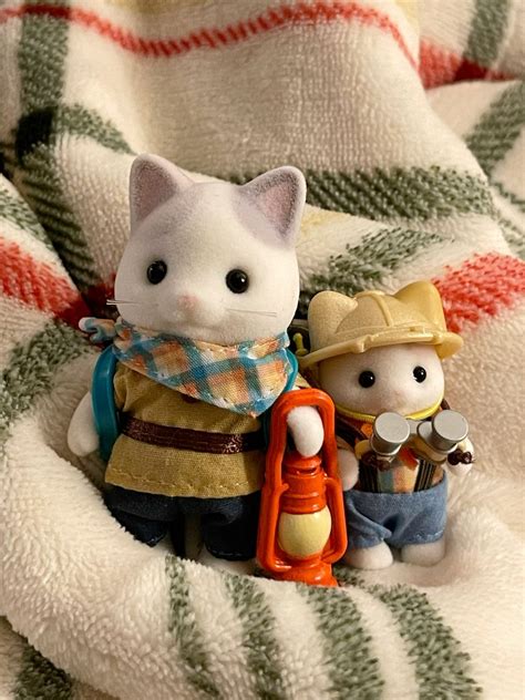 Cat Calico Critters Going Camping! 🏕️ | Calico critters families, Cute ...