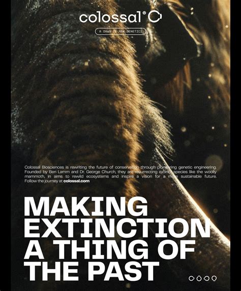 Playboy Magazine Subscriptions and February 2025 Issue