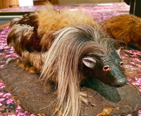 Haggis Animal: A Mythical Creature of Scottish Cuisine - Malevus