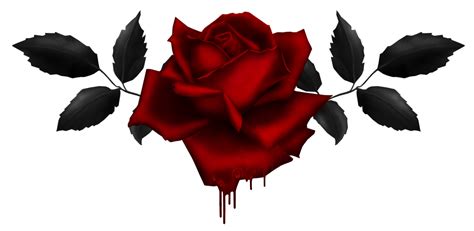 Gothic Rose PNG Image