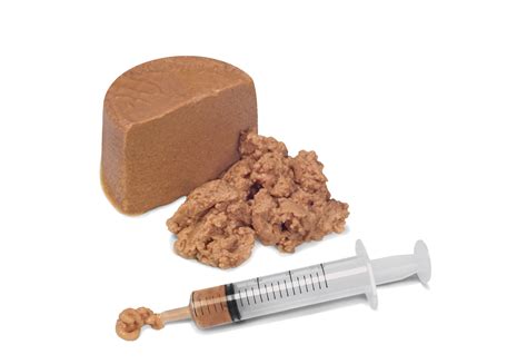 Recovery | Royal Canin PT