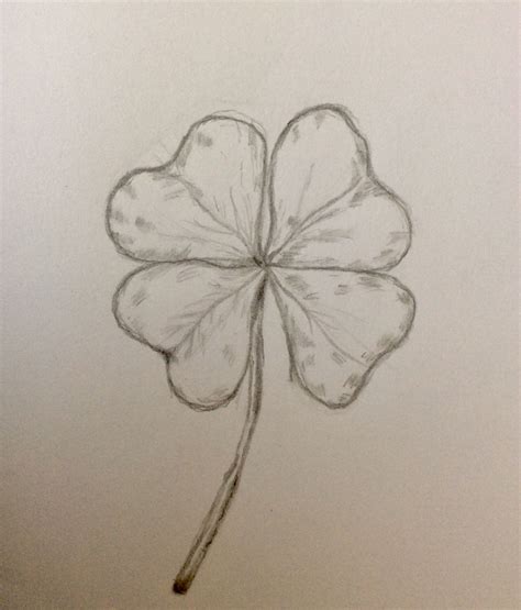 Best 13 Four Leaf Clover PNG Transparent, Four Leaf Clover Sketch, Leaf Drawing, Clover Drawing ...