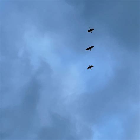 幸せ | あさきゆめみし