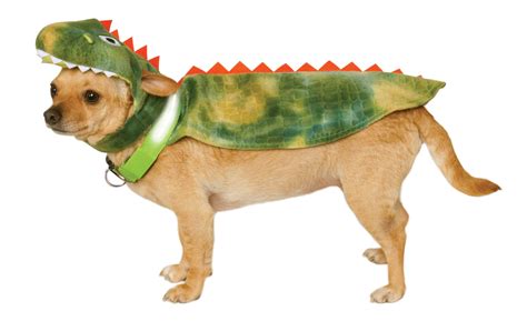 Dinosaur Dog & Cat Cape with Headpiece - Pet Costume Center