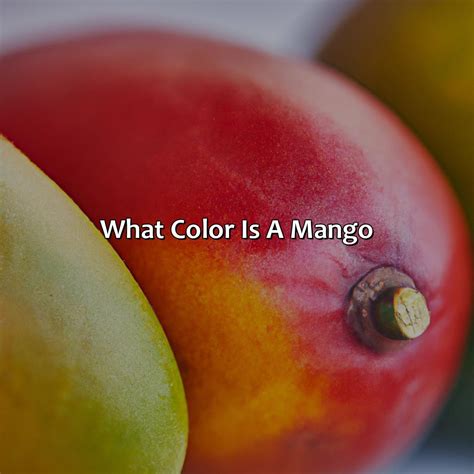 What Color Is A Mango - colorscombo.com