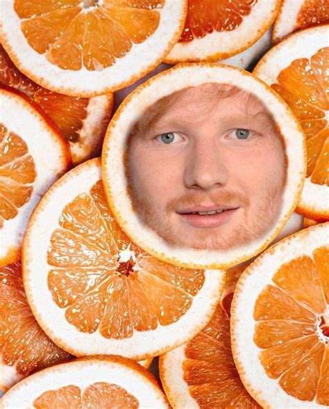 7 best ed sheeran memes ever – Artofit