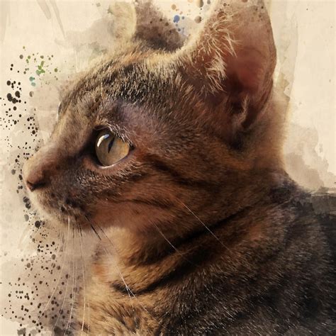 Falling in Reverse T-shirt • Ronnie Radke Merch • Metal Band Shirt ...