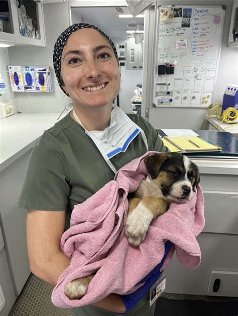 Meet Our Veterinarians | Sequoyah Animal Hospital