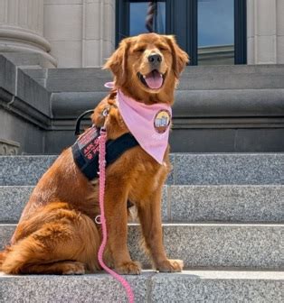 McHenry County Circuit Court Clerk