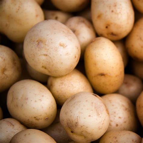 Yukon Gold Potato, Conventional – The Farm On Central