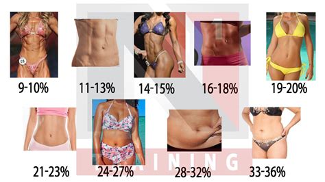 Women's Body Fat Chart Why Body Composition Matters—and How To