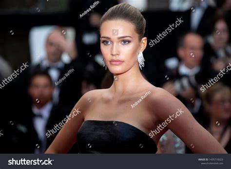 8 Noel capri berry Görseli, Stok Fotoğraflar ve Vektörler | Shutterstock