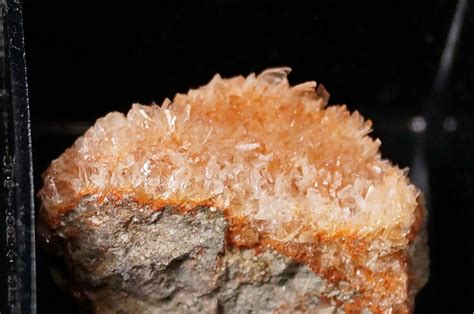 30 Facts About Rhodopsin (Visual Purple) - Facts.net