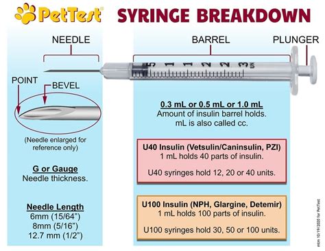 Syringes: A Thorough Breakdown