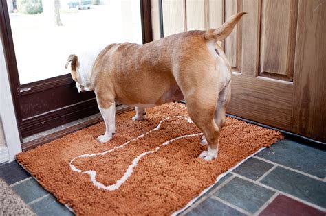 Wet Dog Doormat - The Secret to Absorbency | Soggy Doggy - Soggy Doggy ...