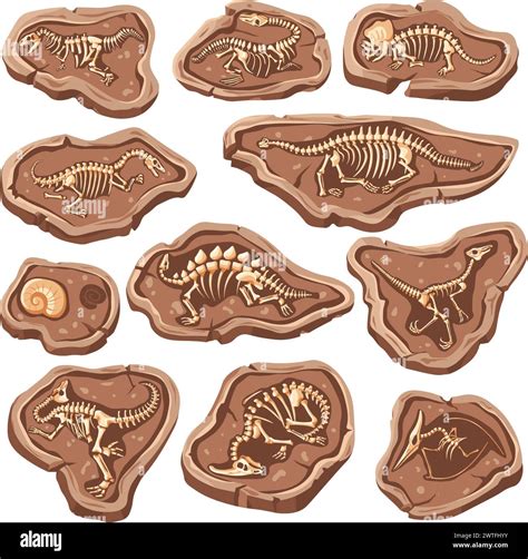 Dinosaur bones fossils. Reptile fossil in ground stone, cartoon lizard skeleton jurassic ...