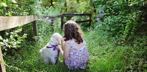 Bullock Pet Cremation Services | Sumter SC funeral home and cremation