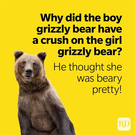 45 Bear Puns You'll Find Beary Funny | Teddy Bear, Panda, Koala Puns
