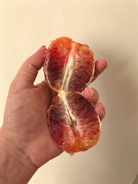 A friendly reminder that blood orange season is in full swing (in Aus ...