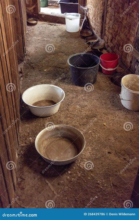 In an Attic with a Leaking Roof, There are Bowls and Buckets To Catch the Rainwater Stock Photo ...