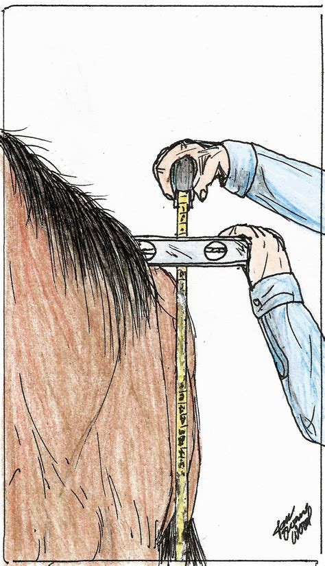 THREE POINTS OF CONTENTION CavvySavvy.com - We Know Working Horses