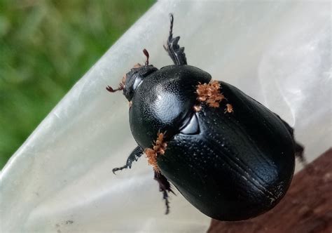 Juq-224 - Best photos on ksp.org.tw