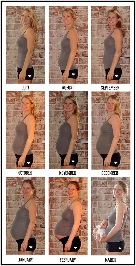 Twin pregnancy belly week by week photos – Artofit