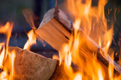 What is the Best Firewood to Burn in a Fireplace? | Stacked Firewood ...